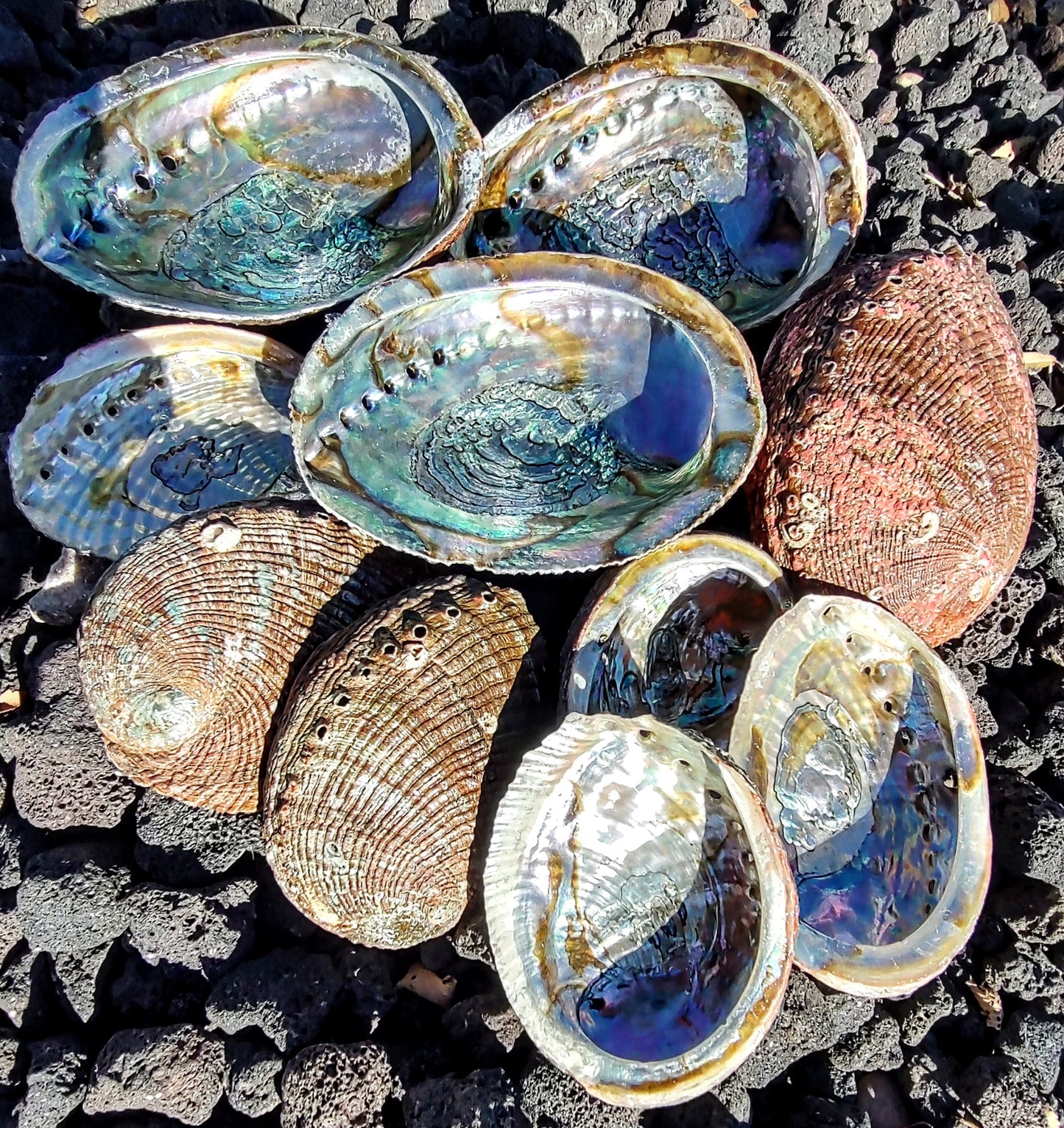 ABALONE SHELL INCENSE BOWL