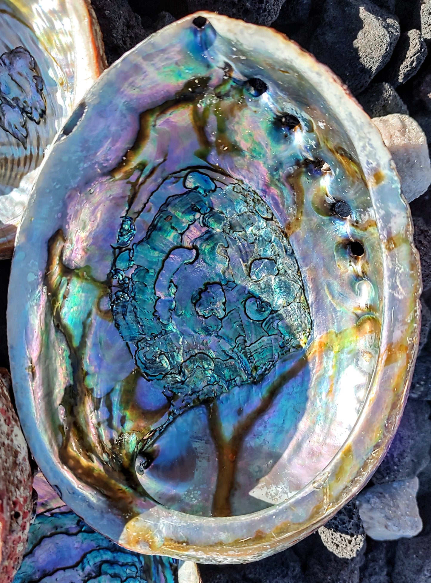 ABALONE SHELL INCENSE BOWL