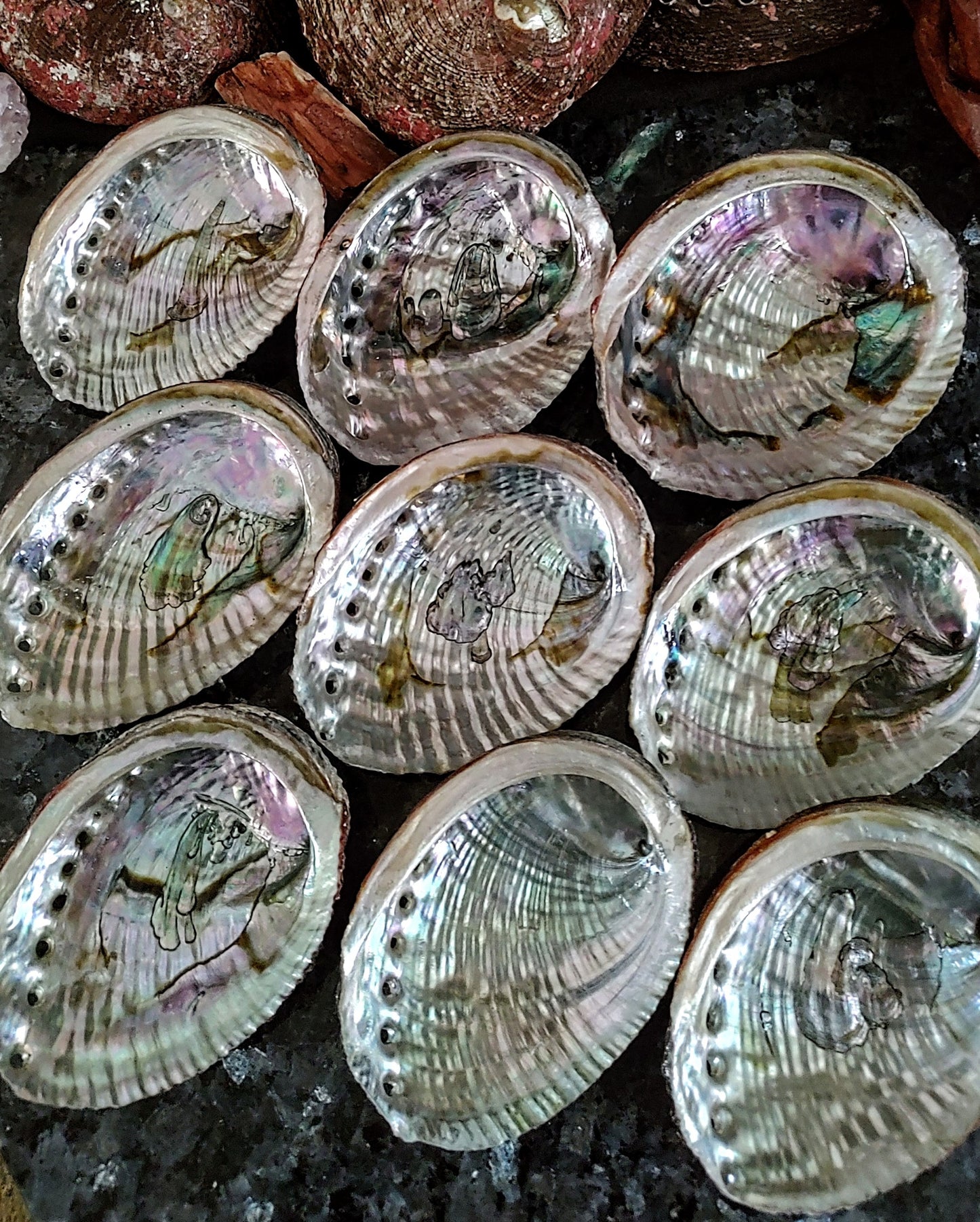 ABALONE SHELL INCENSE BOWL